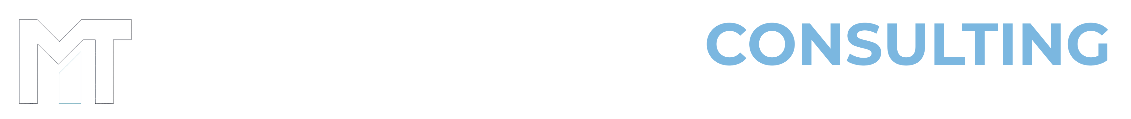 Master's Touch Consulting